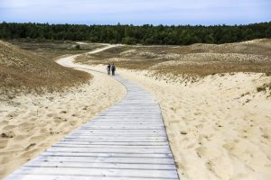 UNESCO Kuršių nerijos apsaugos planą Lietuvai nurodė rengti be Rusijos