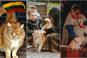 Aktyviausias švenčių dalyvis – katinas
