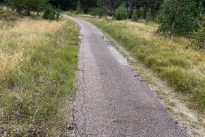 „YIT Lietuva“ rekonstruos pagrindinį Kuršių nerijos dviračių taką
