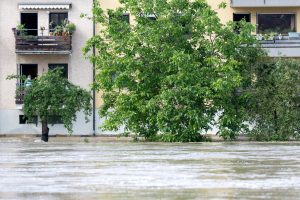 Vokietijoje moteris per potvynį dvi su puse paros praleido medyje