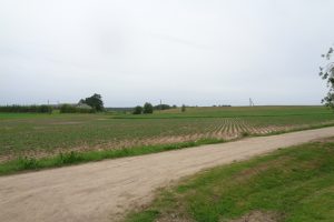 Ekspertai ir ūkininkai: Lietuvoje neįmanoma įvertinti realios sausros žalos 