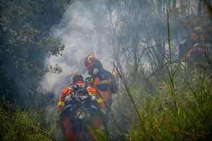 Po daugybės miško gaisrų Graikijos vyriausybė planuoja sugriežtinti bausmes už padegimus