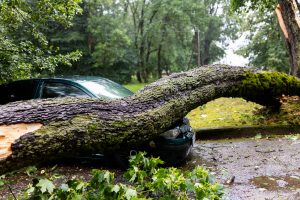 Ugniagesiai 500 kartų vyko šalinti audros padarinių, elektros tiekimas vis dar sutrikęs