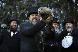 JAV: švilpikas Philas pranašauja dar šešias žiemos savaites