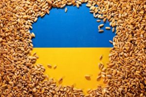 Rusai iš okupuotų Ukrainos teritorijų išvežė beveik 5 mln. tonų grūdų