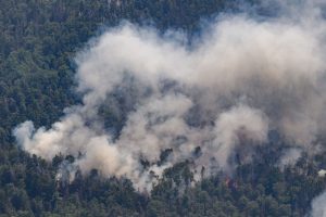 Čekijoje ugniagesiai įveikė 20 dienų siautusį miško gaisrą
