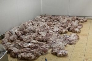 Tarnyba: Šiaulių rajono įmonėje „Delikatesas“ – šiurkštūs pažeidimai