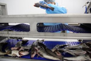 Žuvų aukciono valstybei nebereikia