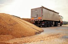 Slovakų ministerija: Slovakija ir Ukraina susitarė dėl grūdų eksporto sistemos