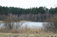 Vandens telkinyje rastas vyro kūnas su nubrozdinimais