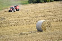 ŽŪM: ūkininkai paraiškas paramai gauti galės teikti supaprastinta tvarka