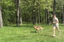 Lietuviai susivienijo kilniam tikslui