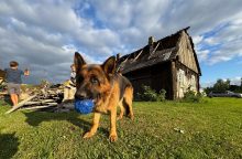 ESO: elektros dar neturi daugiau negu 11 tūkst. vartotojų