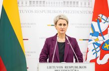 N. Grunskienė: Lietuva bendradarbiauja su Ukraina dėl galimai diversijas rengusios grupės