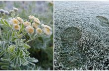 Meteorologai: užfiksuota šalčiausia šio rudens naktis