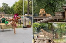 Lietuvos zoologijos sodas pirmą kartą po rekonstrukcijos švenčia gimtadienį