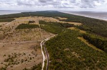 Rekonstruota dalis Kuršių nerijos dviračių tako, sutvarkyta atkarpa Smiltynė–Juodkrantė