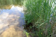 Prienų rajone kūdroje rastas vyro kūnas