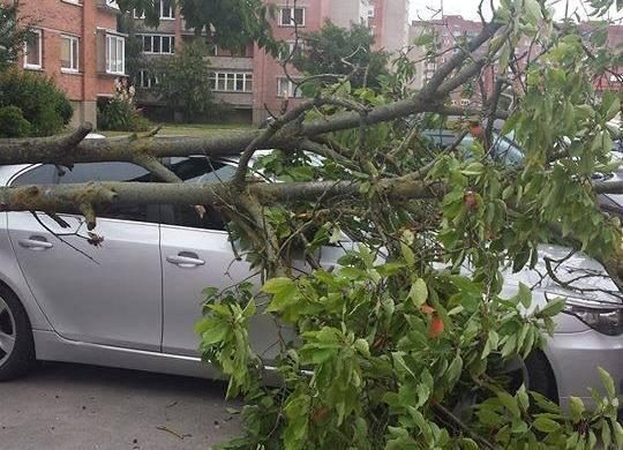 Vėjas medžius ėmė versti ir Kaune