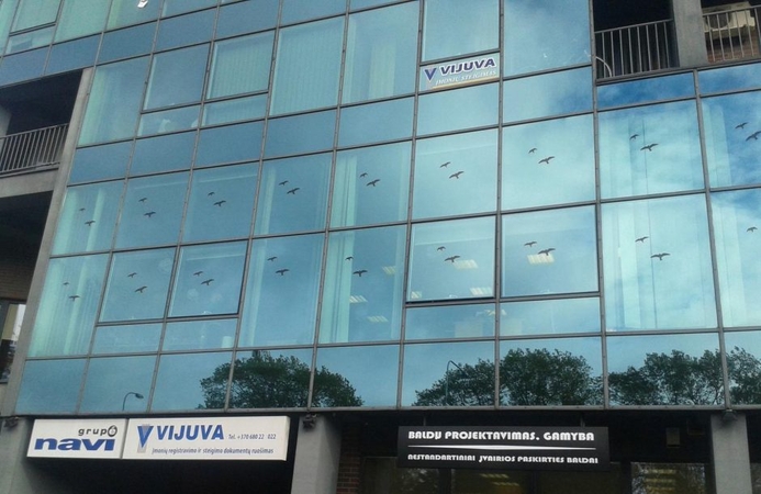 Gyventojai gelbsti nykštukus ant stiklinių pastatų klijuodami iškarpas su paukščių siluetais.