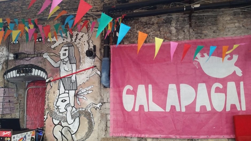 Festivalio „Galapagai“ vartai atsivėrė: žmonės rinkosi iš vakaro