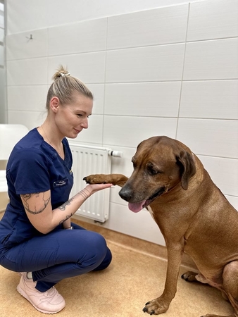 Nepatikima: veterinarė V. Tvaranavičiūtė pabrėžia, kad liaudiškos priemonės – actas, česnakai ir kiti nepatikrinti metodai – dažnai būna neveiksmingi ar net pavojingi gyvūnų sveikatai.