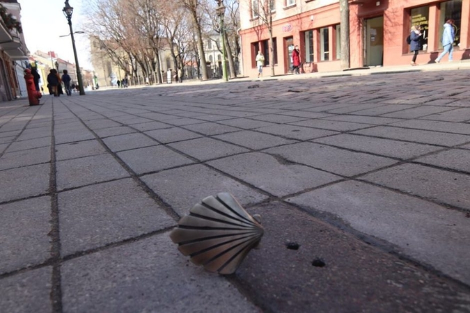 Kaunas pasipuošė įstabiomis Šv. Jokūbo kriauklėmis