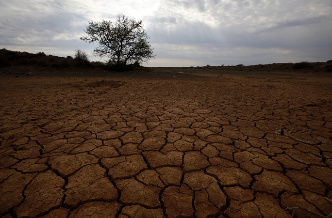 A. Galvonaitė: jei klimatas atšils 4 laipsniais, gyvensime lyg šalia Sacharos