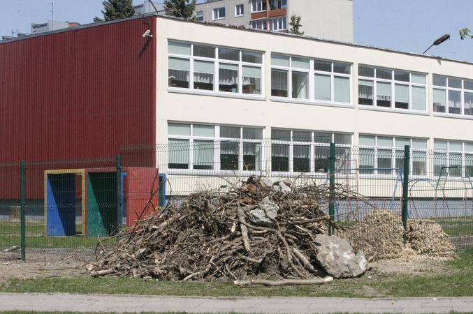 Prie darželių šalinami menkaverčiai medžiai