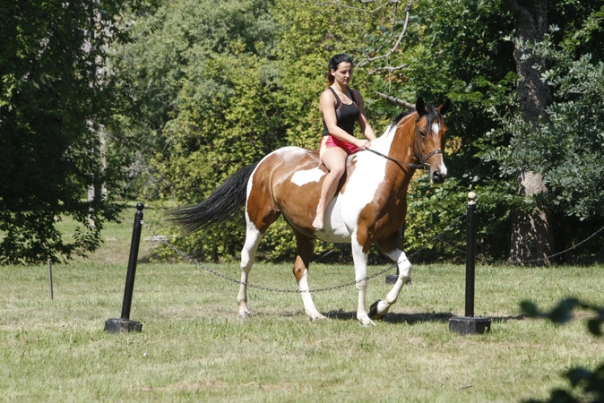 Priekulėje – žirgų sporto ir miesto šventė