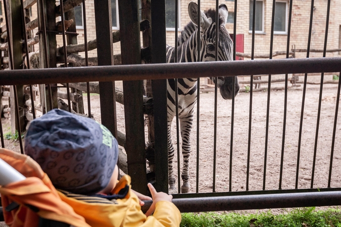 Zoologijos sode – jubiliejinio gimtadienio siautulys