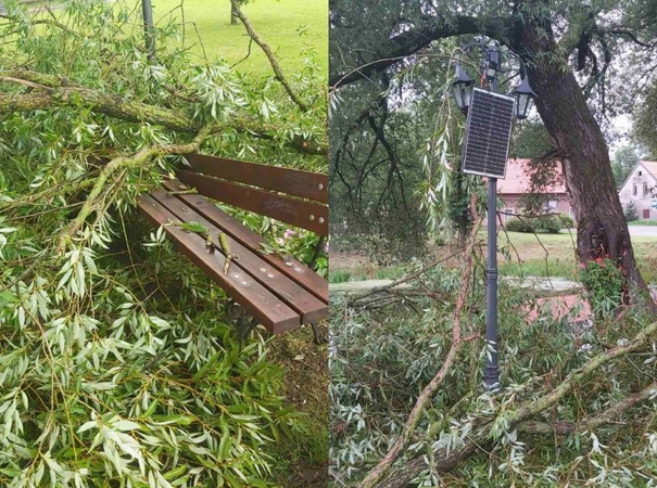 Savarankiškumas: nuvirtusi šaka gyventojų bendromis jėgomis buvo supjaustyta, suoliuką ir šviestuvą žmonės taip pat tvarkys patys.