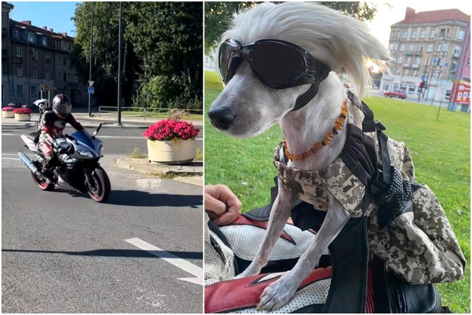 Nustebino: miestiečiai gatvėse stebėjo neįprastą reginį – ant motociklininko nugaros, kuprinėje, patogiai kartu keliauja ir jo augintinis.