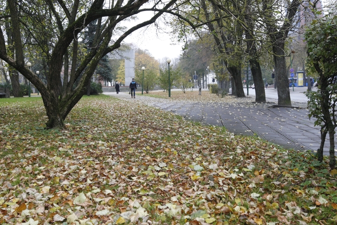 Pajūryje sinoptikai žada malonius orus