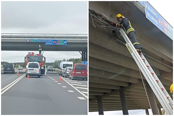 Ekskavatorius rėžėsi į viaduką: betono kruša apgadino du automobilius