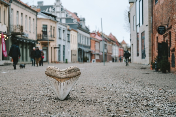 „Kaunas 2022“ uždarymo programoje – Kauno Mitinio Žvėries pėdsakai: kviečia į paslaptingą žaidimą
