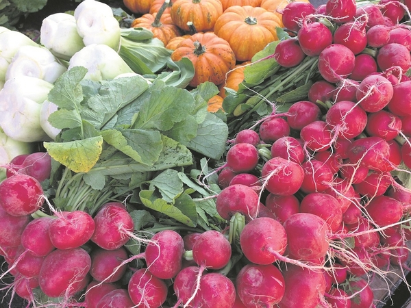 AGRO-ekologiniai ukiai-be chemijos Sveikesni: valgydami ekologiškai užaugintas daržoves, galime būti tikri – nesuvalgysite kartu chemijos priedų.