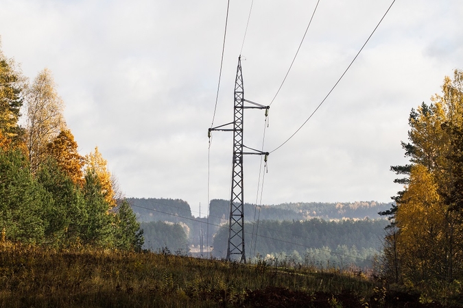 Vaičiūnas: elektros linijų keitimas požeminiais kabeliais turėtų paspartėti triskart