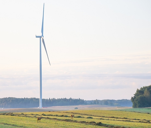 Investicijos: „Ignitis Renewables“ statomas didžiausias Lietuvoje vėjo elektrinių parkas Kelmės rajone.