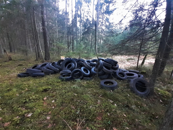 Dzūkijos miškai atidengia tamsiąją pusę – juose tūno tonos išmestų padangų