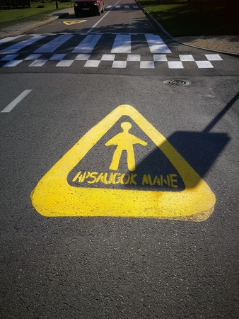 Pakaunės vaikai apdrausti nuo nelaimingų atsitikimų kelyje