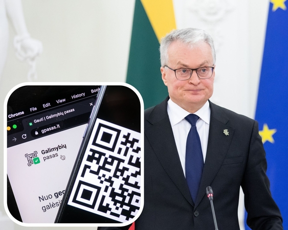 V. Sinkevičius: prezidentui nederėtų raginti Konstitucinio Teismo greičiau išnagrinėti bylą