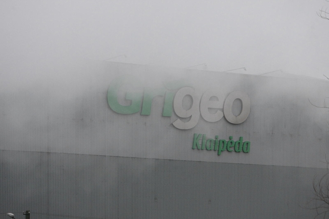Aplinkosaugininkai „Grigeo Klaipėda“ patikrinimą žada pradėti ketvirtadienį