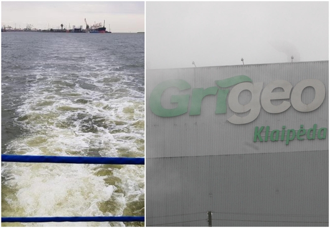 Aplinkosaugininkai apie „Grigeo Klaipėda“ patikrinimą: taršos mastai gali būti dideli