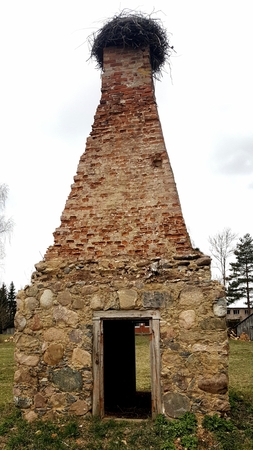 Virenė – kas tai?