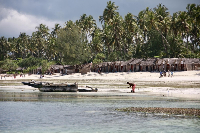Zanzibaro rojuje svaigino ir vaizdai, ir skoniai, ir kvapai