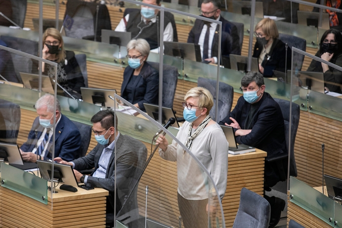 Premjerė įvardijo dešiniųjų Seimo privalumą: nešvaistėme laiko tyrimams
