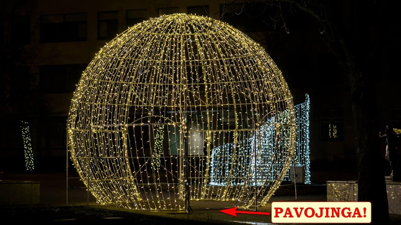 Panevėžyje nuo šventinės dekoracijos ne vieną šunį nukratė elektra