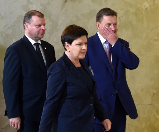 Lietuva ir Lenkija pasirašys susitarimą dėl elektros tinklų sinchronizavimo