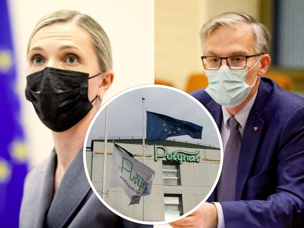 Seimo vicepirmininkas ragina pradėti parlamentinį tyrimą dėl A. Bilotaitės